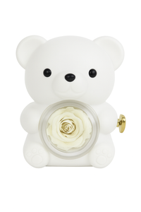 Thumbnail for Bear with a Surprise – Jewelry Box with Necklace