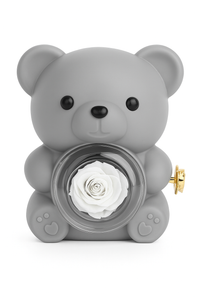 Thumbnail for Bear with a Surprise – Jewelry Box with Necklace